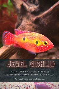 Jewel Cichlid