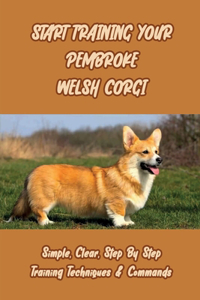 Start Training Your Pembroke Welsh Corgi