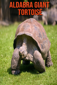 Aldabra Giant Tortoise