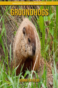 Groundhogs