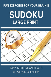 Sudoku Large Print