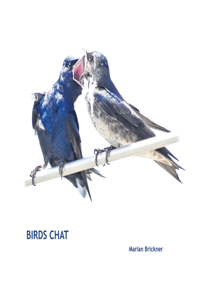 Birds Chat