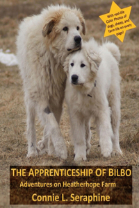 Apprenticeship of Bilbo