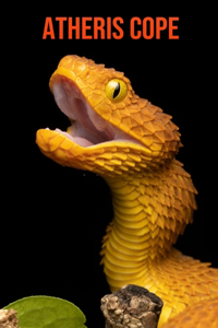 Atheris Cope