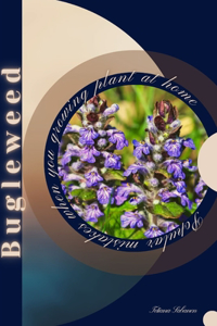 Bugleweed