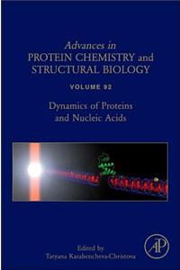 Dynamics of Proteins and Nucleic Acids