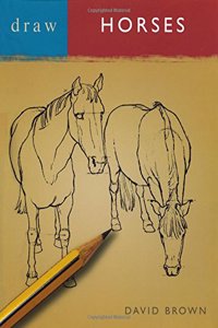 Draw Horses (Draw Books) Paperback â€“ 1 January 2002