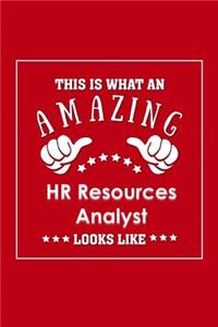 This is What an Amazing HR Resources Analyst Look Like