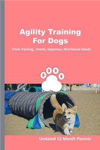 Agility Training For Dogs