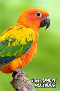 Sun Conure Notebook