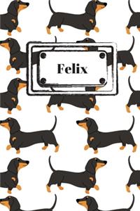 Felix