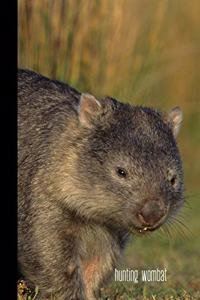 hunting wombat