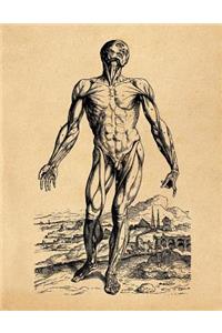 Anatomy Notebook