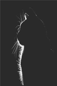 Black Cat Notebook