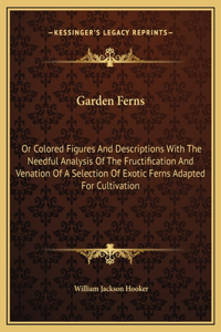 Garden Ferns
