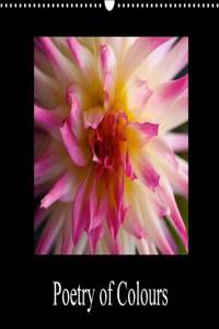 Poetry of Colours 2017