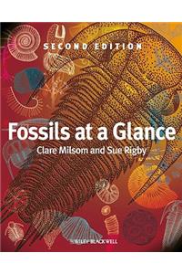 Fossils at a Glance