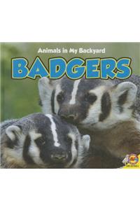 Badgers