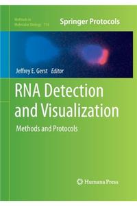 RNA Detection and Visualization