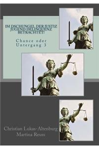 Im Dschungel der Justiz Jugend Delinquenz betrachtet!