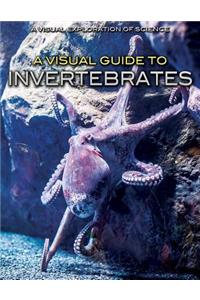 A Visual Guide to Invertebrates