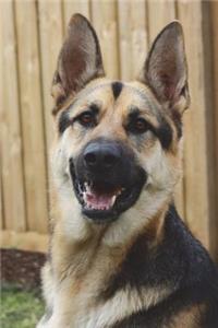 German Shepherd Looking Cool Journal
