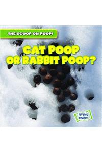 Cat Poop or Rabbit Poop?