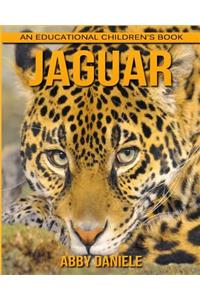 Jaguar! An Educational Children's Book about Jaguar with Fun Facts & Photos