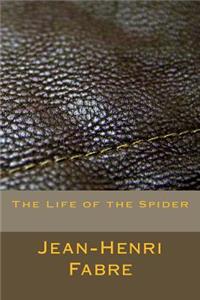 The Life of the Spider