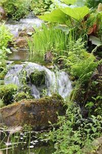 Lush Green Plants Along a Stream Nature Journal
