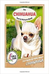 The Chihuahua Fact and Picture Book: Fun Facts for Kids About Chihuahua (Turn and Learn)