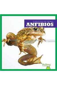 Anfibios / Amphibians