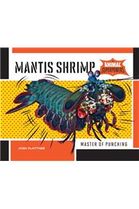 Mantis Shrimp: Master of Punching