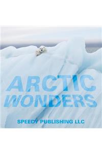 Arctic Wonders