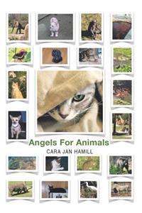 Angels for Animals