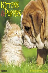 Kittens & Puppies 2018 Wall Calendar