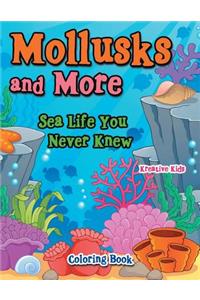 Mollusks and More