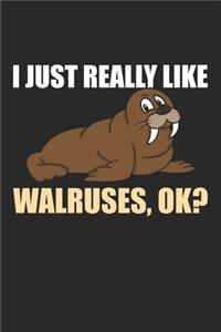 I just really Like Walruses ok?