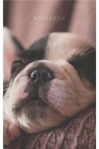 Sleepy Puppy - Lined Notebook