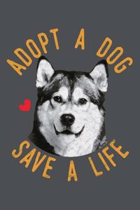 Adopt A Dog Save A Life