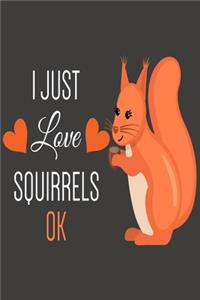 I Just Love Squirrels Ok