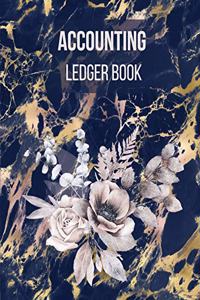 Accounting Ledger book
