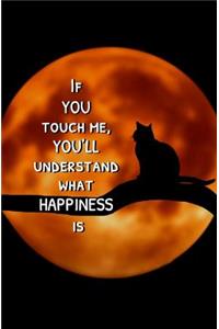 If You Touch Me, You'll Understand What Happiness Is