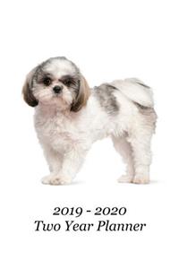 2019