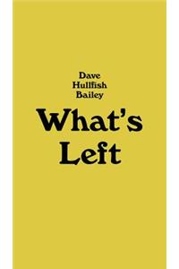 Dave Hullfish Bailey – What`s Left