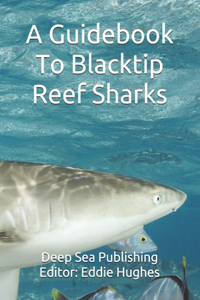 Guidebook To Blacktip Reef Sharks
