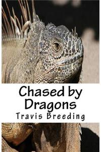 Chased by Dragons