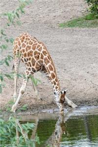 Giraffe at the Waterhole Notebook