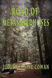 Road of Metamorphoses