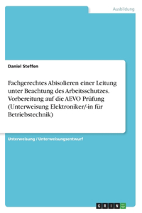 Fachgerechtes Abisolieren einer Leitung unter Beachtung des Arbeitsschutzes. Vorbereitung auf die AEVO Prüfung (Unterweisung Elektroniker/-in für Betriebstechnik)